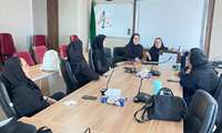 برگزاری دوره آموزش مداخله در بحران با موضوع «سایکوتروماتولوژی» مرکز بهداشت شمال غرب 2 دانشگاه علوم پزشکی ایران 