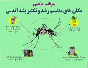 اطلاعات تب دنگی (پشه آئدس )